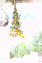 お花屋さんの店先