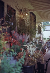 film　さあクリスマスはもうすぐだ