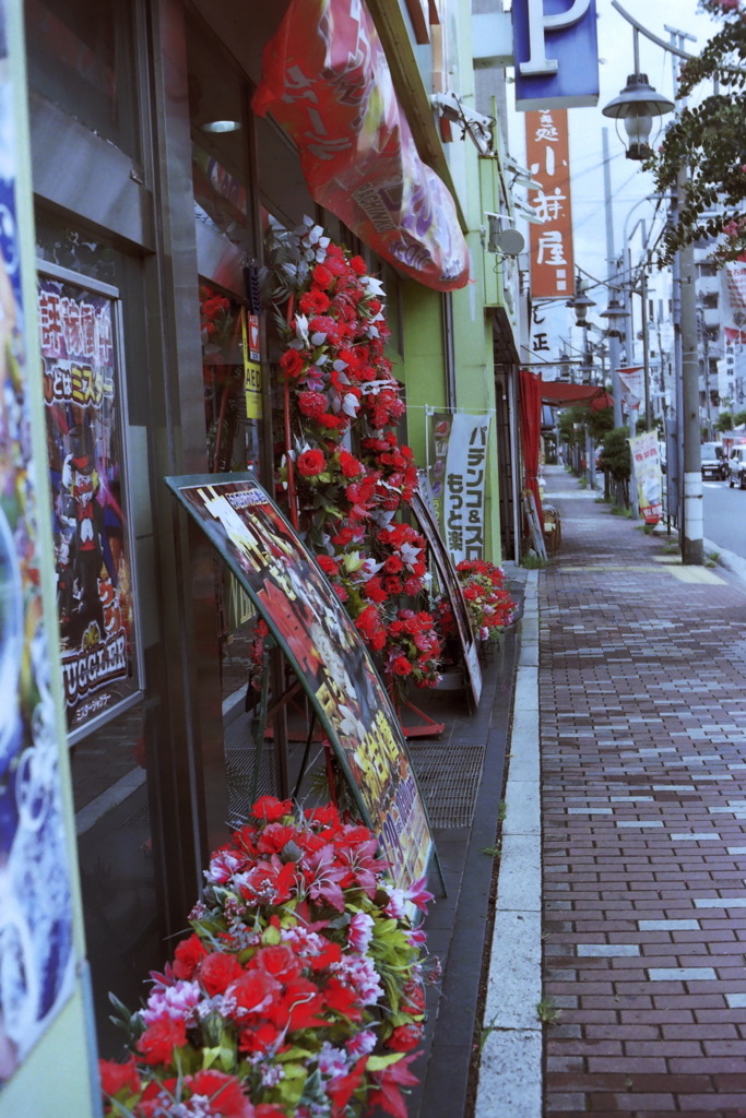 film     葛飾Red (1)