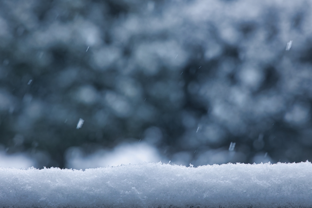 ゆっき でしたっ ♬