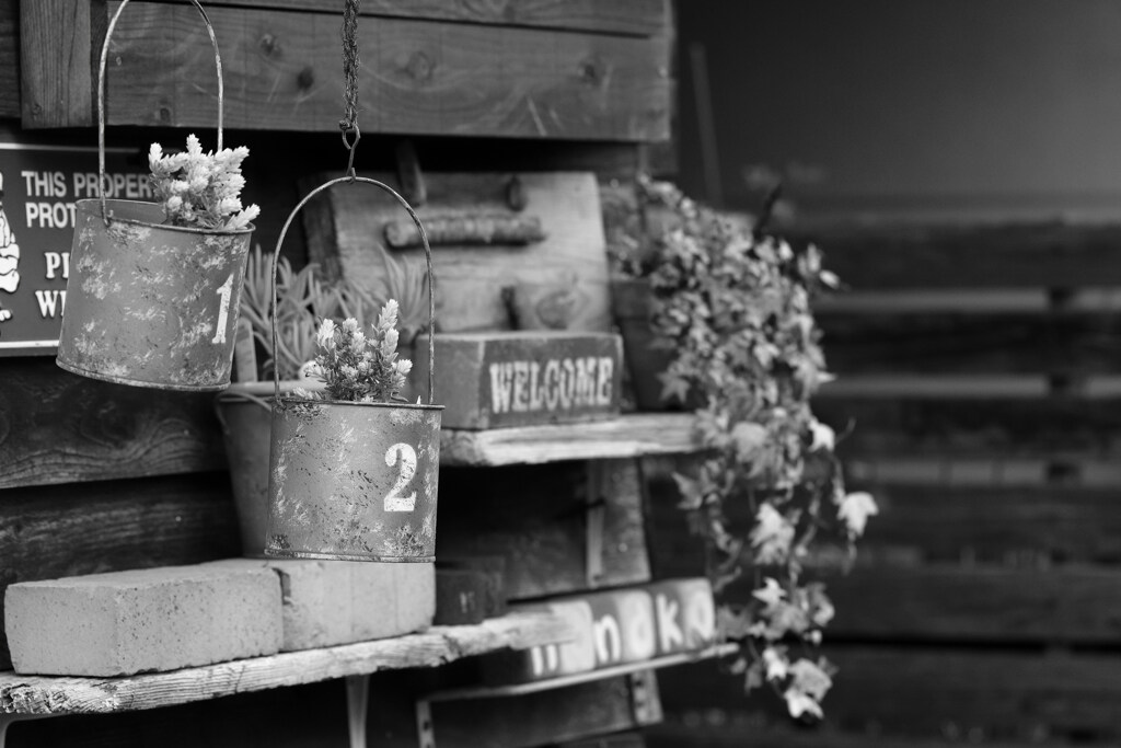 bucket flower