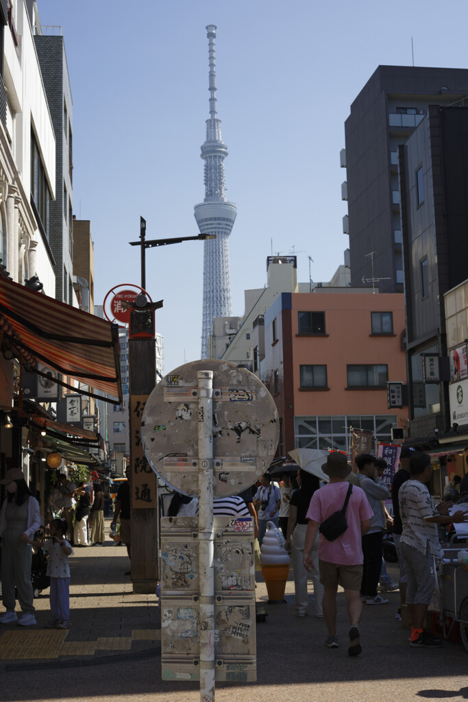 ええ？こんなんなってました