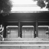 film   こんな具合に落ち着きそうです