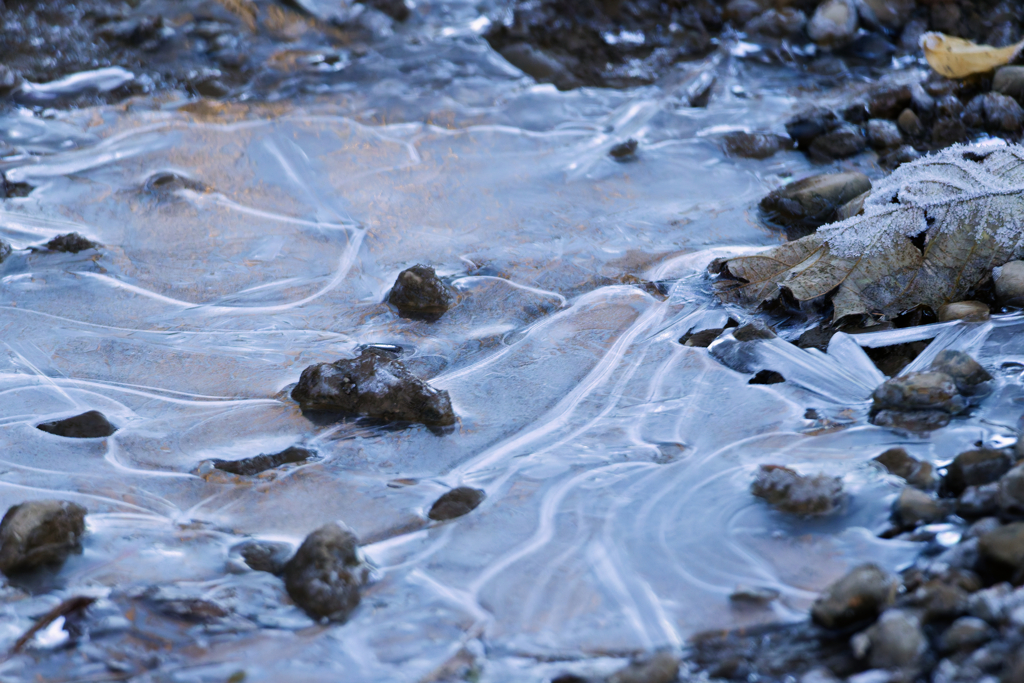 今年は寒くなるの早いよねー