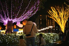 イルミがはじまったよ