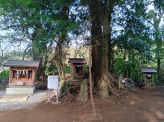 ご利益ありました