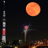 昨日見た夢