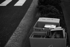 ボク、捨てられちゃうんだ