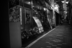 夜散歩はじめました