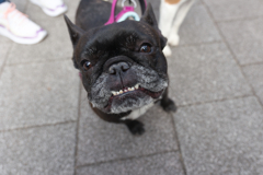 カワイイって自分の名前だと思ってる