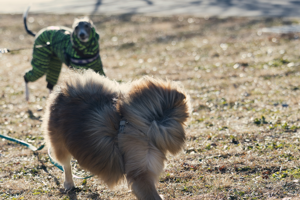 そして立石にはこんな不思議ちゃんもいる！
