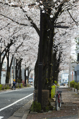 この景色の中 赤い自転車で走りたいんだ