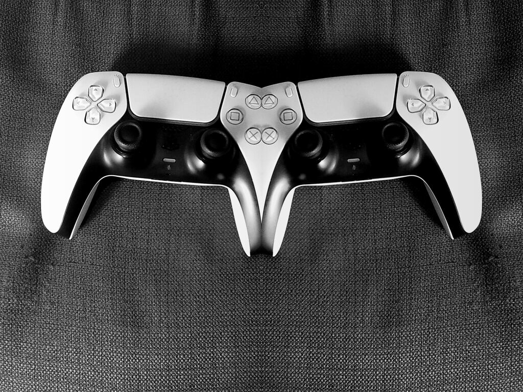 ホントにあったら困る二人用コントローラー