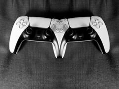 ホントにあったら困る二人用コントローラー