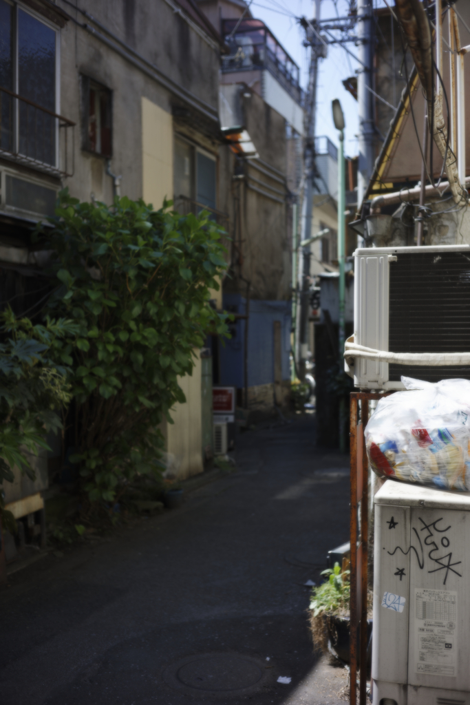 ぴんぼけとソフトフォーカス 偉いのはどっちだ？