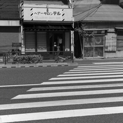ボーダーとストライプ