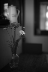 マーガレットの咲くお店