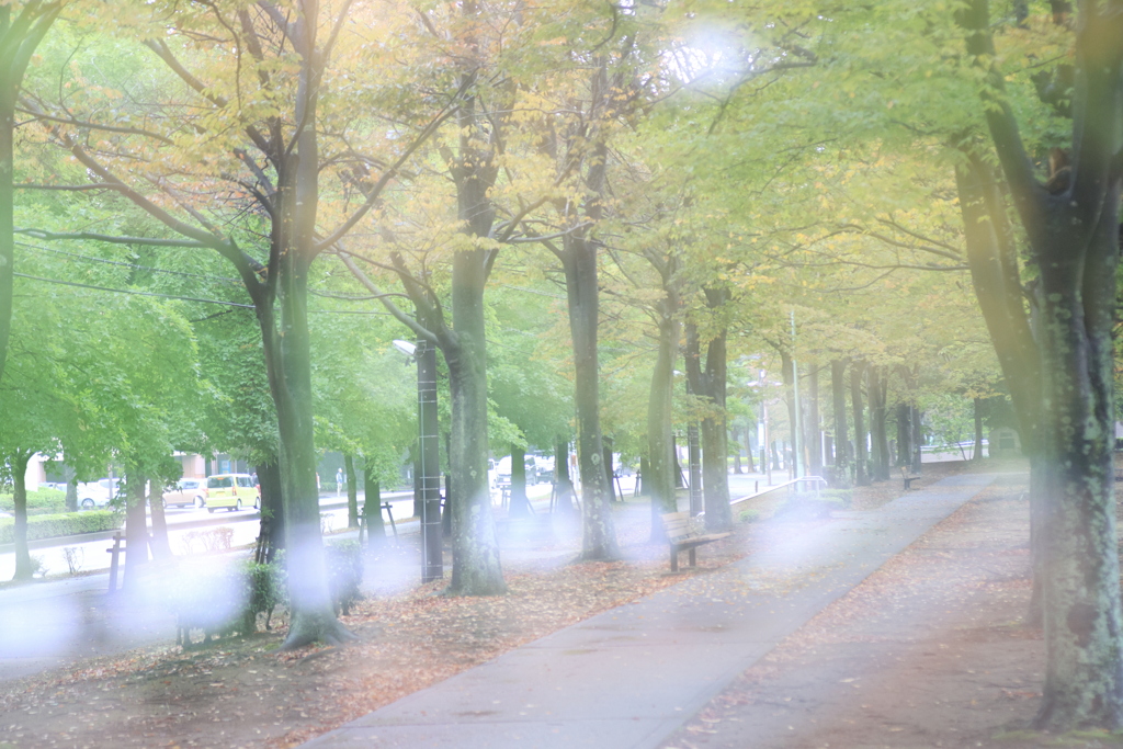 雨の日の独り言