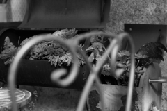 例のケーキ屋さん 例のケーキ屋さん