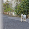 あっかんべぇ