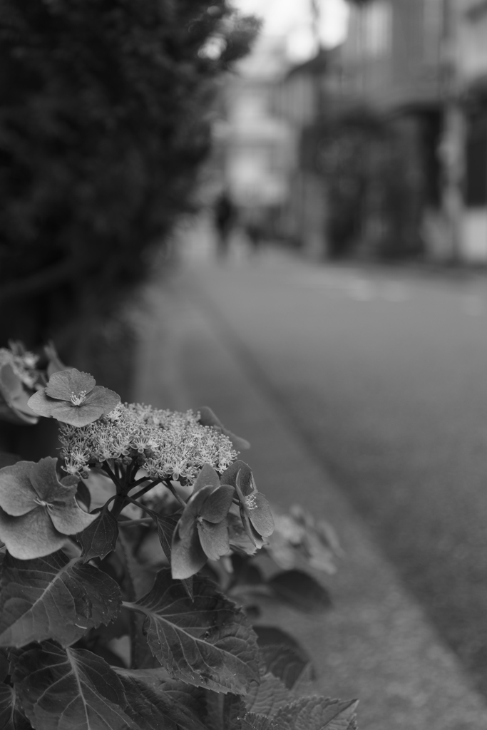 雨の予感