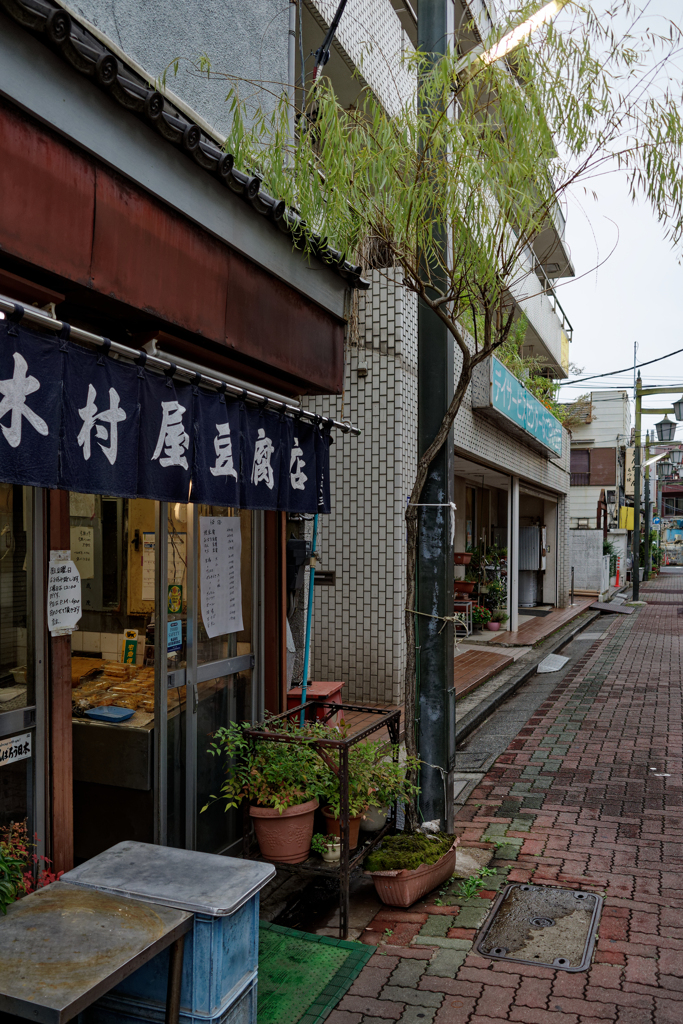 究極のボンサイ
