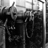 film 街角放水栓