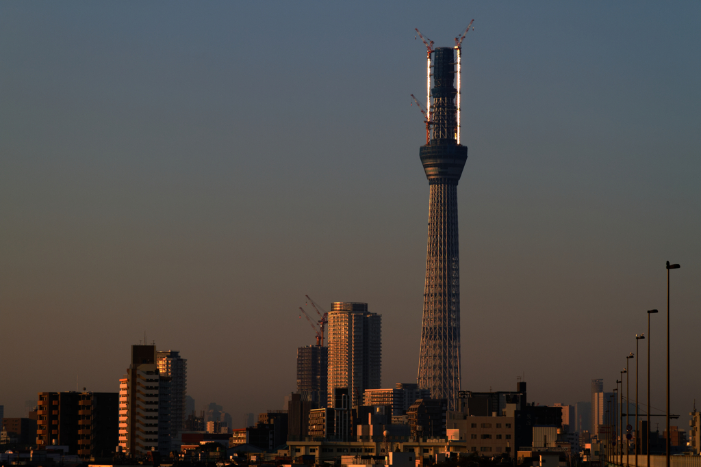 朝日浴