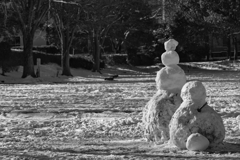 シュールな雪景色