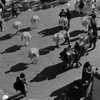 film  Table dance