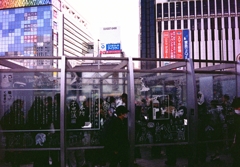 film      思い出は紫煙とともに