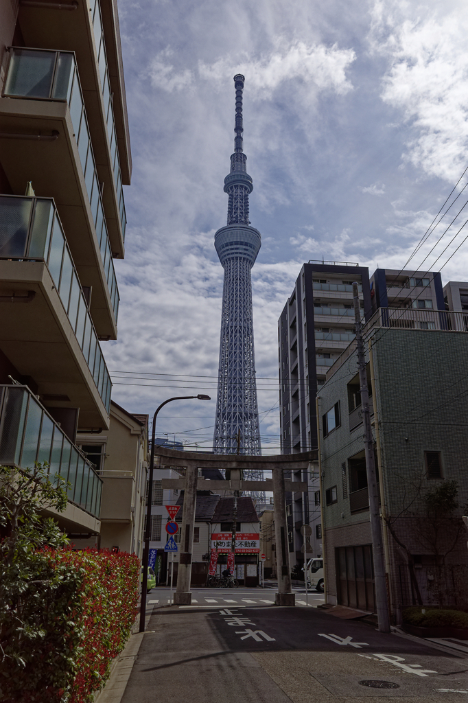 向島風情