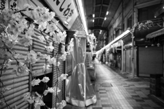 夜散歩はじめました