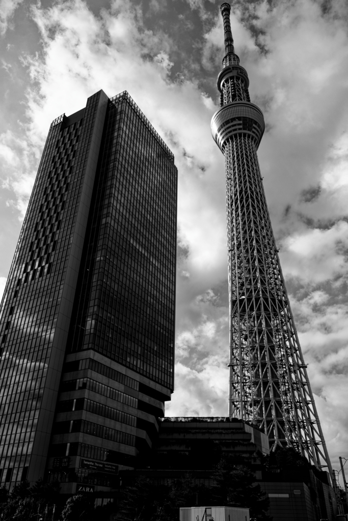 二大巨塔