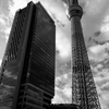 二大巨塔