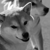 おーい 悪い顔なってんぞー