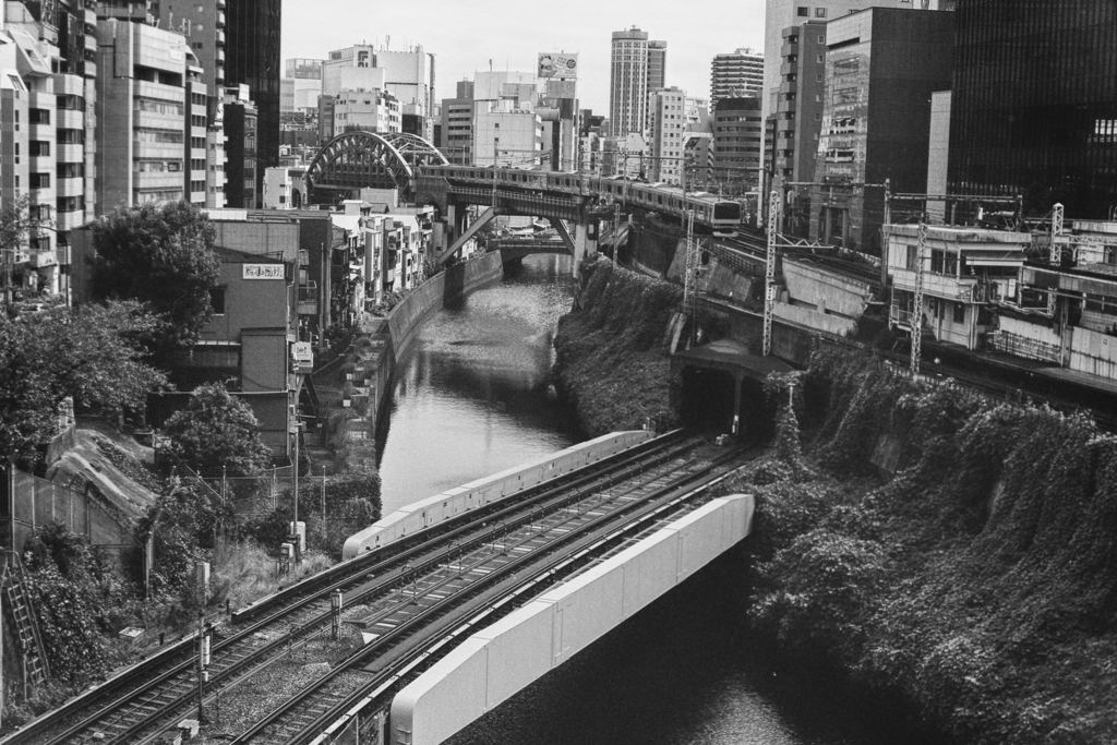自分でフィルムデジタライズしてみた (2)