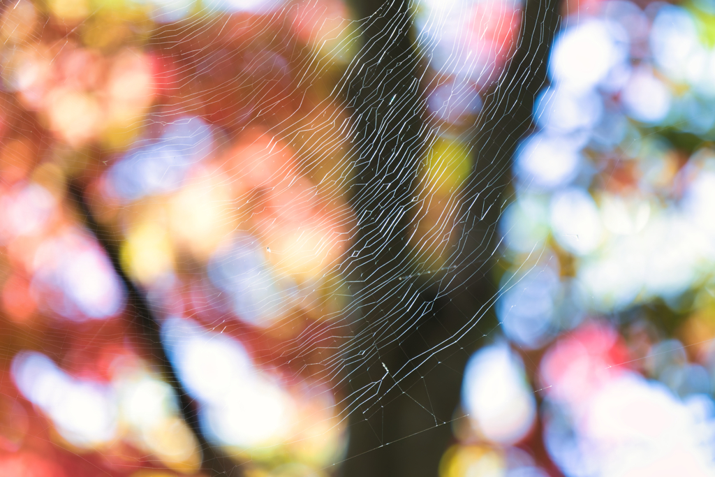 Ａ面で恋をして