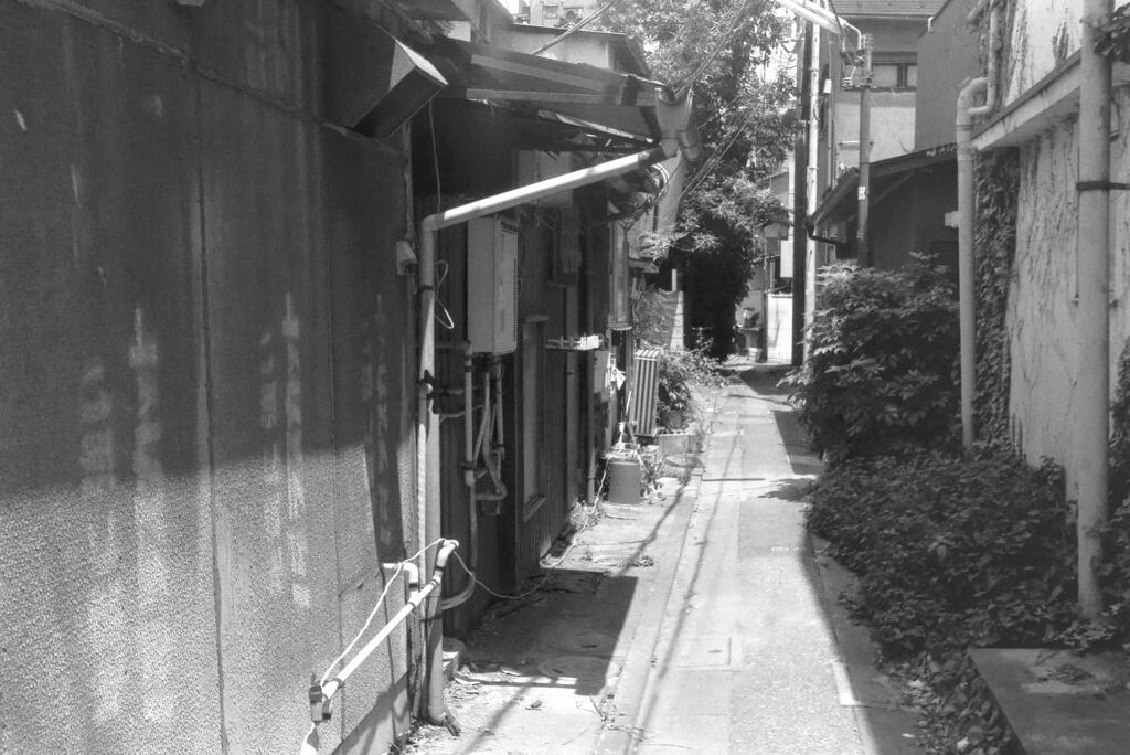 film この路地抜ければ