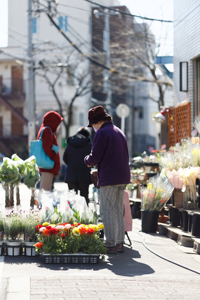 春の妖精は紫が似合う
