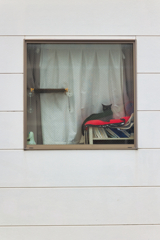 黒猫には赤が似合う