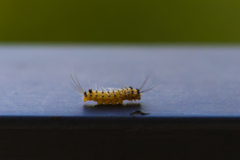 さあ ここで問題です さあ ここで問題です