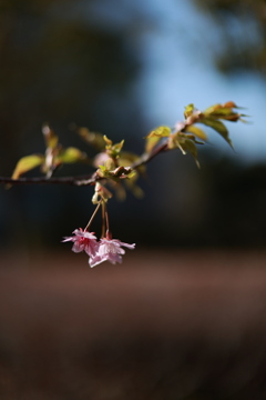 明るさは正義　でも行き過ぎるとよくない？