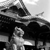 film ♪まっちょ まっちょめーん♪