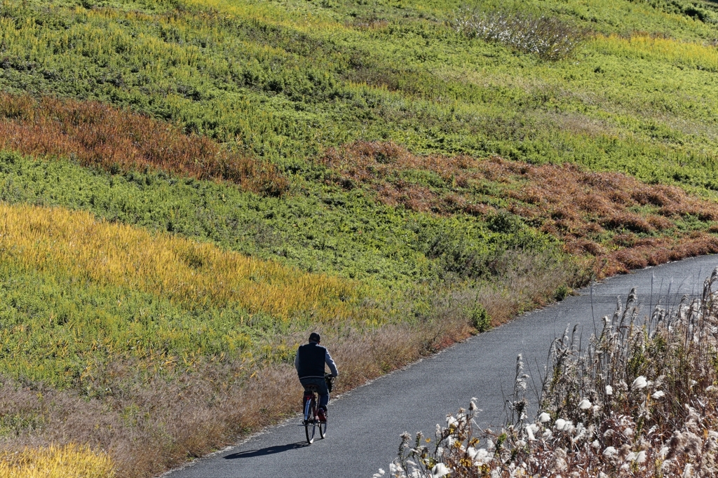 カラフル河川敷を行く