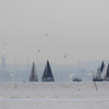 Tokyo baydream