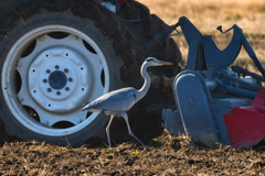 トラクターファン 2