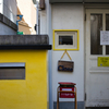 カナリアイエローの店