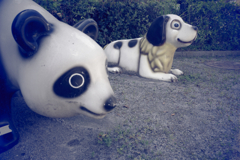 ケモノたちの刻