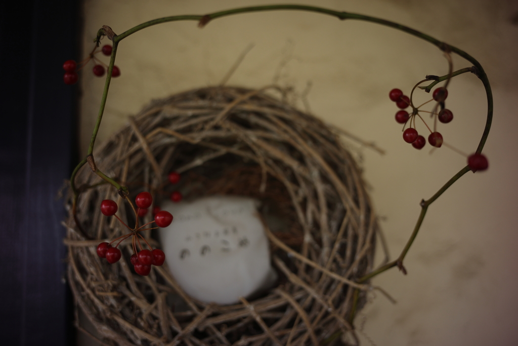 寄れるレンズに生まれ変わる